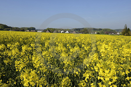 Landschaft am Beutling