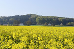 Landschaft am Beutling