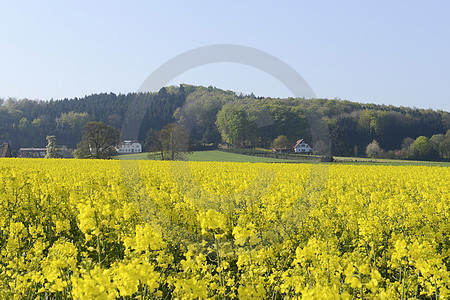 Landschaft am Beutling