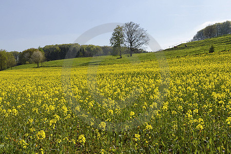 Landschaft im Zittertal