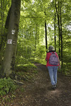 Wanderin im Wald