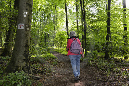 Wanderin im Wald