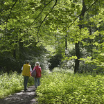 Wanderer im Wald