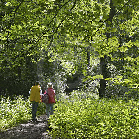 Wanderer im Wald