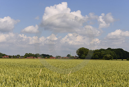 Ortsbild Gehrde