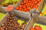 Tomaten