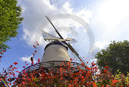 Windmühle Glandorf