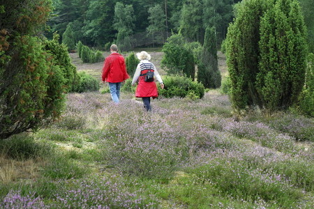 Ellerndorfer Wacholderheide