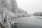 Landschaft im Raureif