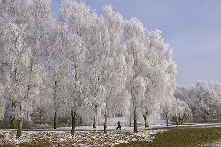 Landschaft im Raureif