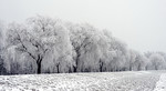 Winterzauber