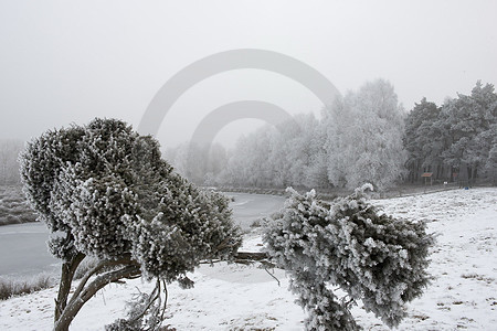 Winterlandschaft