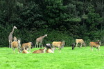 Serengeti Park Hodenhagen