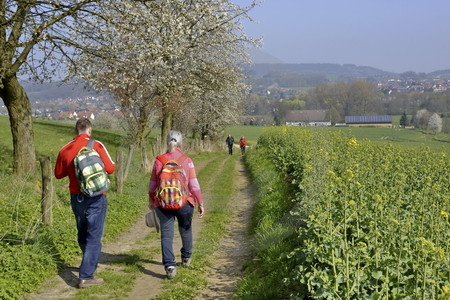 Kirschblüte in Hagen