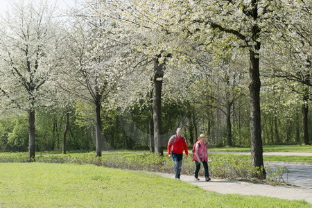 Kirschblüte in Hagen a.T.W.