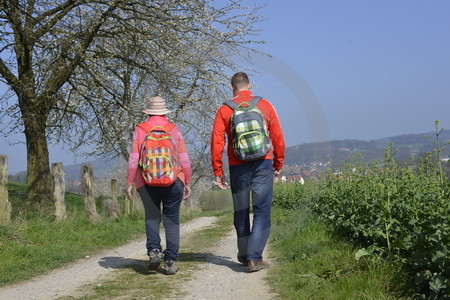 Kirschblüte in Hagen