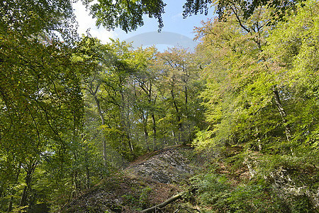 Noller Schlucht