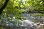 Am Blauen See in Dissen