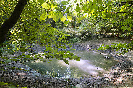 Am Blauen See in Dissen