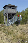 Aussichtsturm im Hahnenmoor