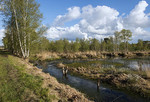 Landschaft im Hahnenmoor