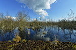 Landschaft im Hahnenmoor