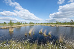 Landschaft im Hahnenmoor