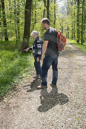 Wanderer auf dem Hermannsweg