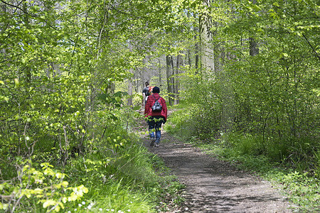 Wanderer auf dem Hermannsweg