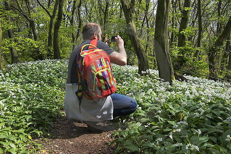 Wanderer im Bärlauchwald