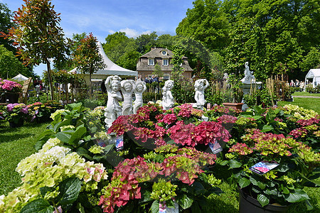 Rosenfest auf Schloss Clemenswerth