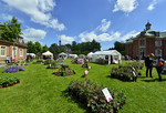 Rosenfest auf Schloss Clemenswerth