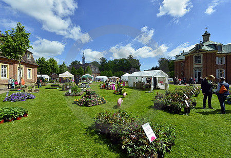 Rosenfest auf Schloss Clemenswerth