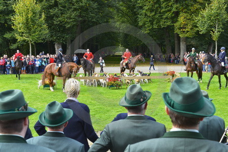 Cappenberger Meute