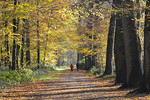 Herbst-Spaziergang