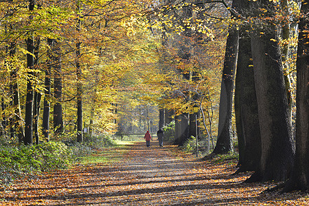 Herbst-Spaziergang