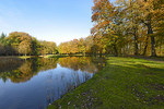 Herbstlandschaft mit Buchen