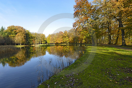 Herbstlandschaft mit Buchen