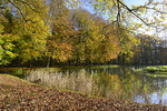 Herbstlandschaft mit Buchen