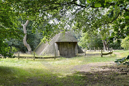 Schafstall in Börger