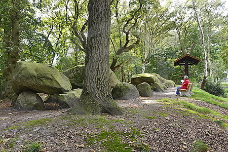 Grosssteingrab Auf Bruneforths Esch (14f)