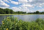 Emslandschaft bei Emsbüren