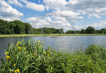 Emslandschaft bei Emsbüren