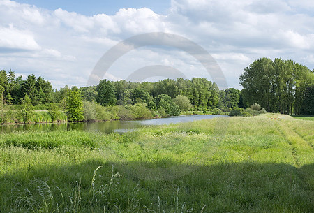 Emslandschaft bei Emsbüren