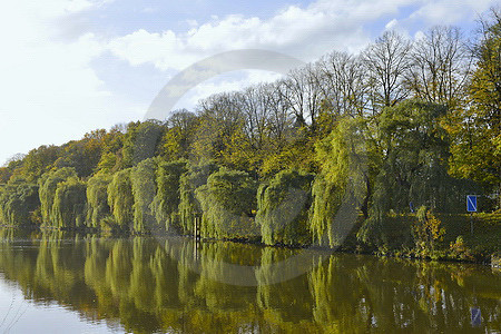 Herbst am Dortmund-Ems-Kanal