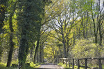 Wanderweg am Borkener Paradies