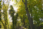 Herbstlicher Wanderweg