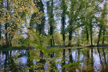 Herbst am Ems-Hase-Kanal