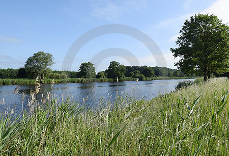 Landschaft an der Ems