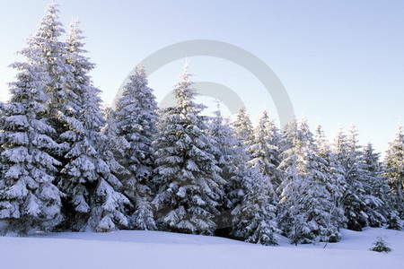 Winterlandschaft an der Harz-Hochstrasse